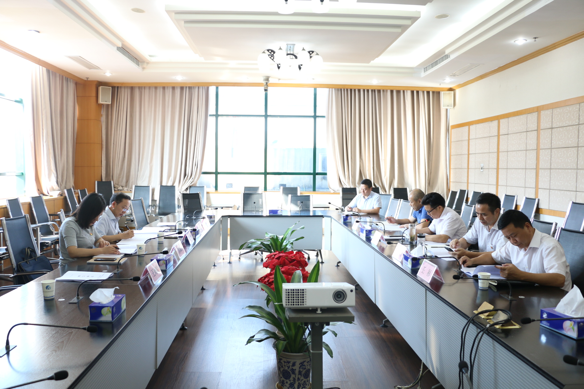 IMG_8376.JPG IMG_8376.JPG